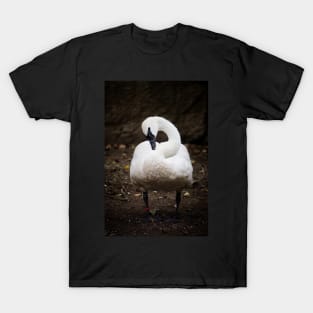 Elegant Swan T-Shirt
